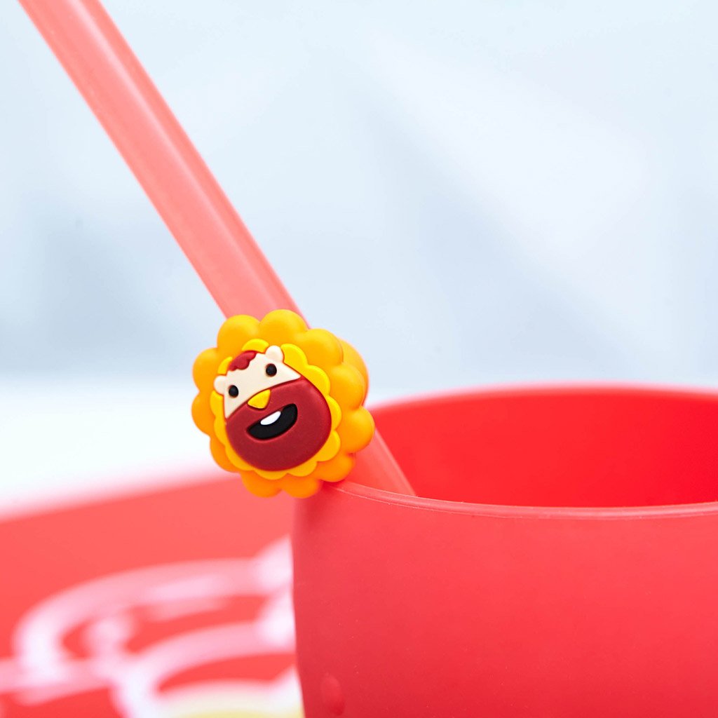 Marcus & Marcus Reusable Straws Family Set