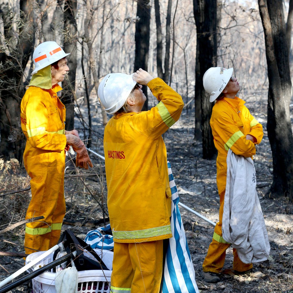 Marcus & Marcus Baby Bib - Koala