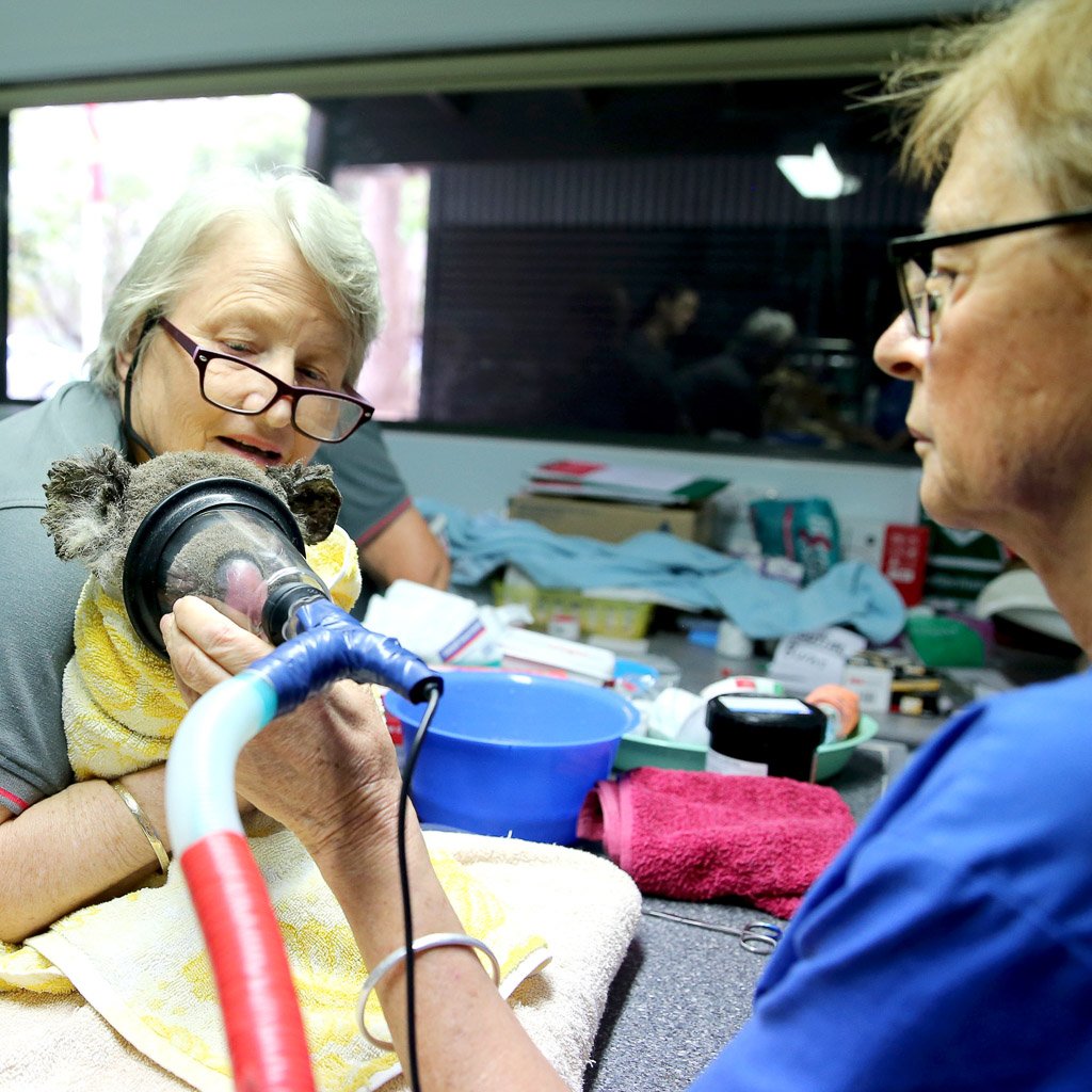 Marcus & Marcus Baby Bib - Koala