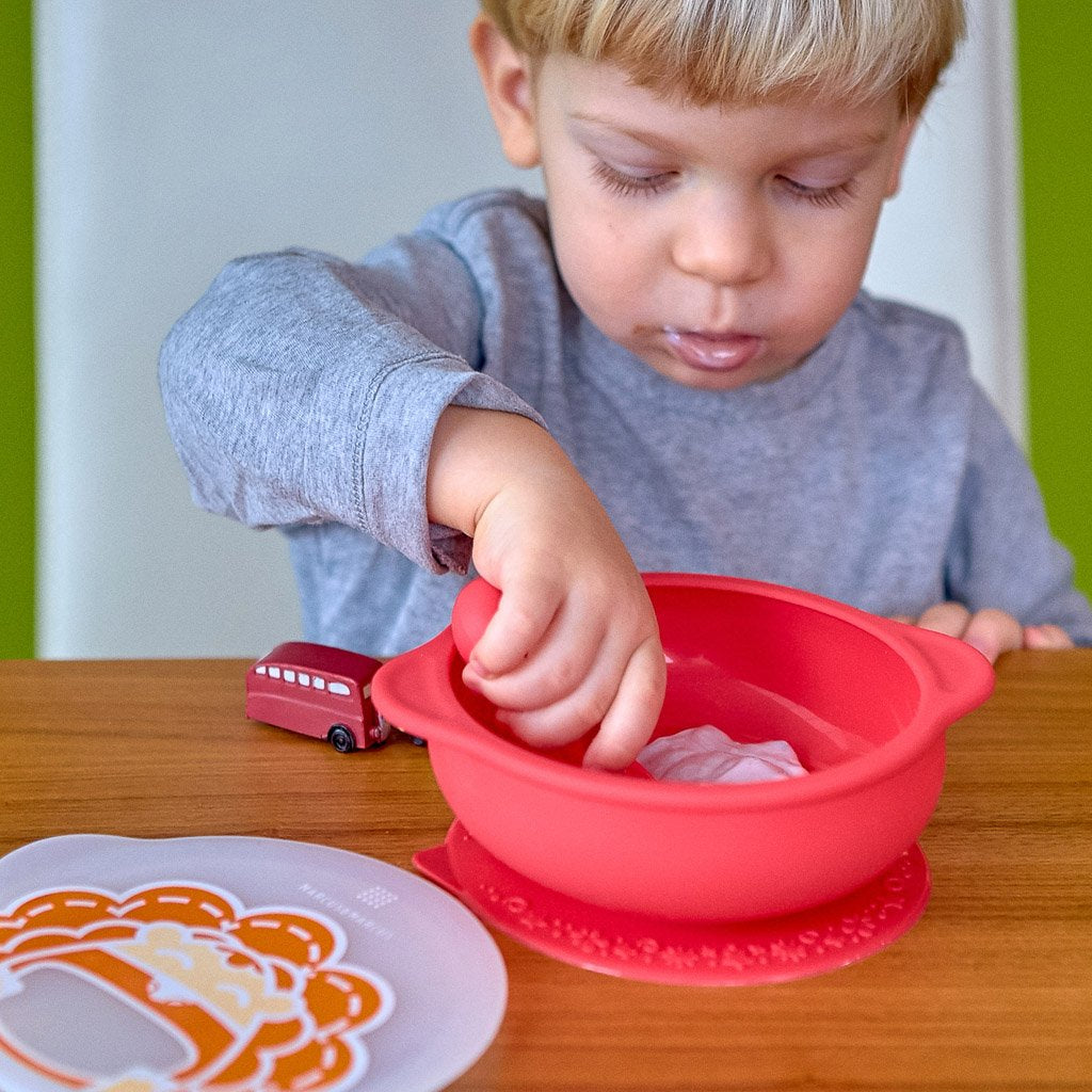 Marcus &amp; Marcus Suction Bowl with Lid - Marcus