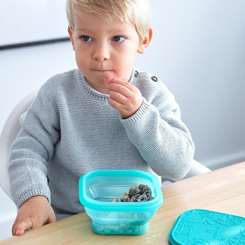 Marcus & Marcus Collapsible Snack Container - Ollie