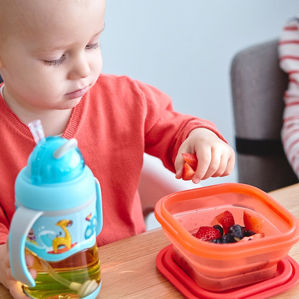 Marcus &amp; Marcus Collapsible Snack Container - Marcus