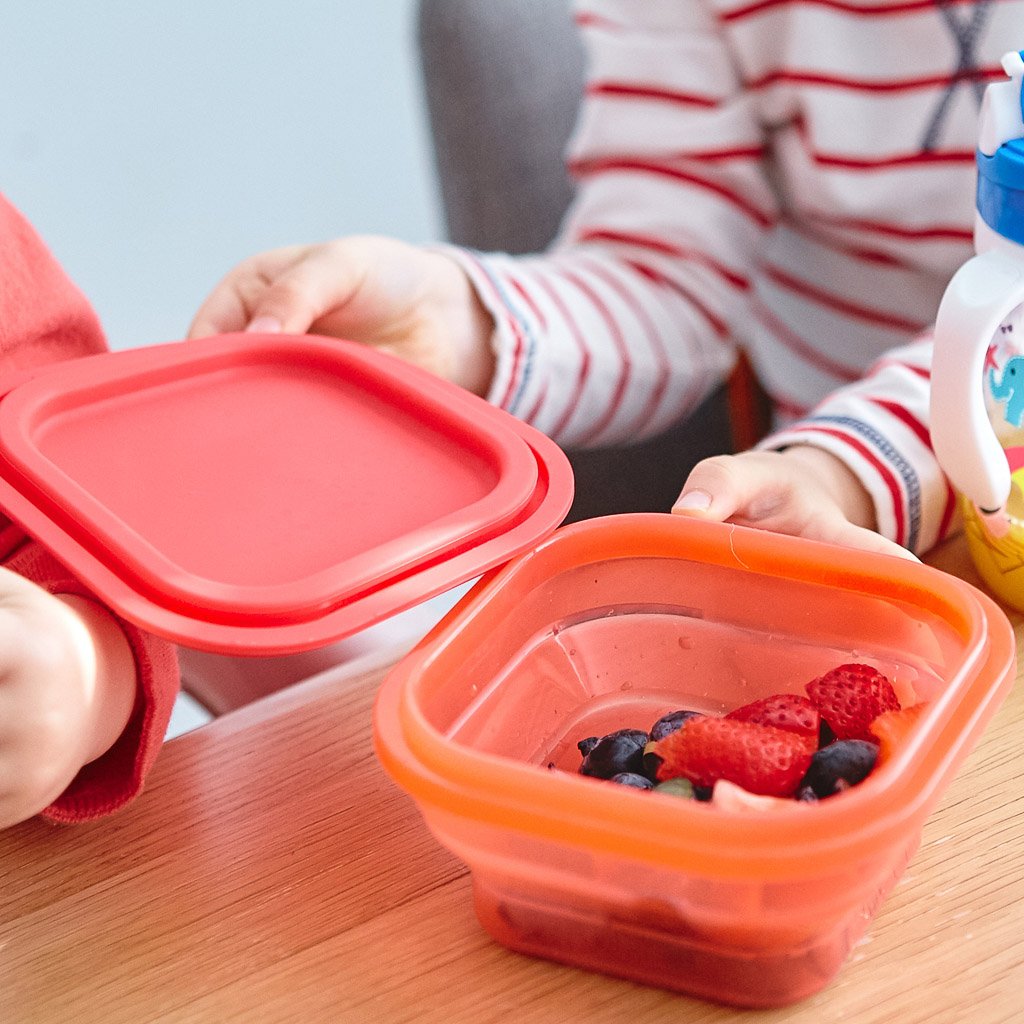 Marcus &amp; Marcus Collapsible Snack Container - Marcus