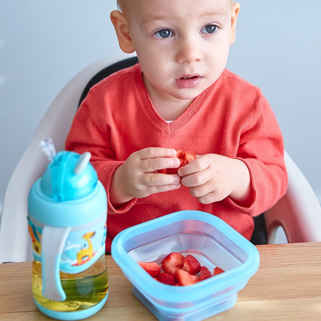 Marcus &amp; Marcus Collapsible Snack Container - Lucas