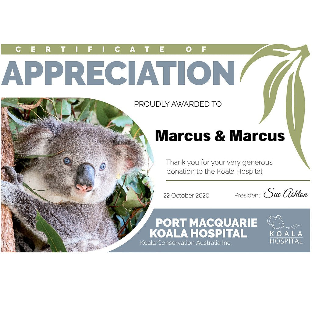 Marcus & Marcus Baby Bib - Koala